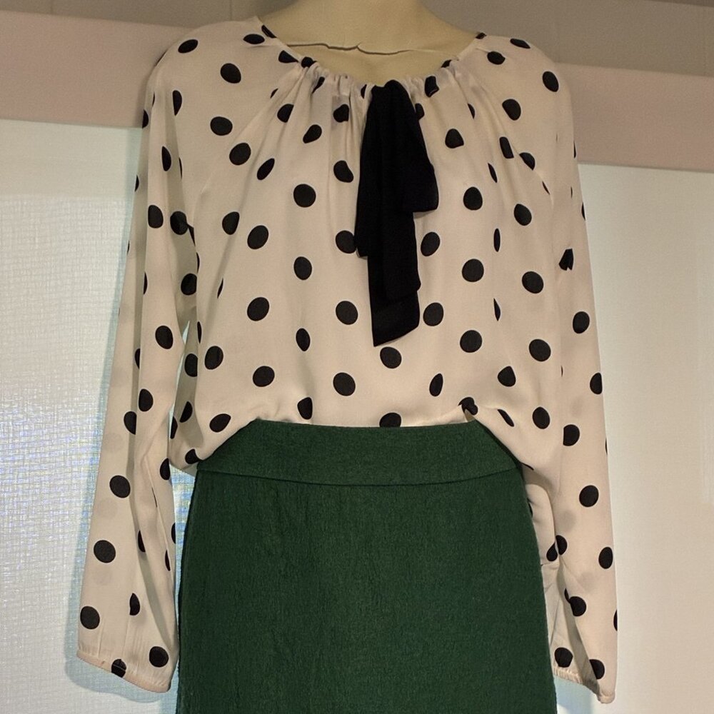 Banana Republic skirt ( size 0)  & white long sleeve polka dot blouse - preloved